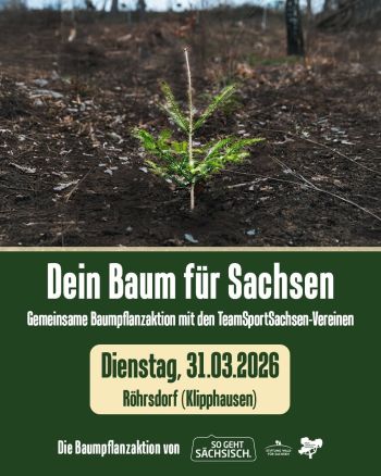 Gemeinsam anpacken für mehr Wald in Sachsen