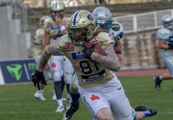 Potsdam Royals vs. Dresden Monarchs