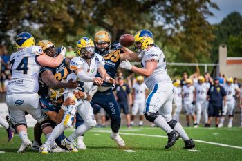 Monarchs mit starkem Auftritt