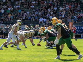 Cologne Crocodiles vs.Dresden Monarchs
