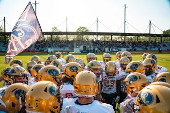 Dolphins gastieren bei den Monarchs